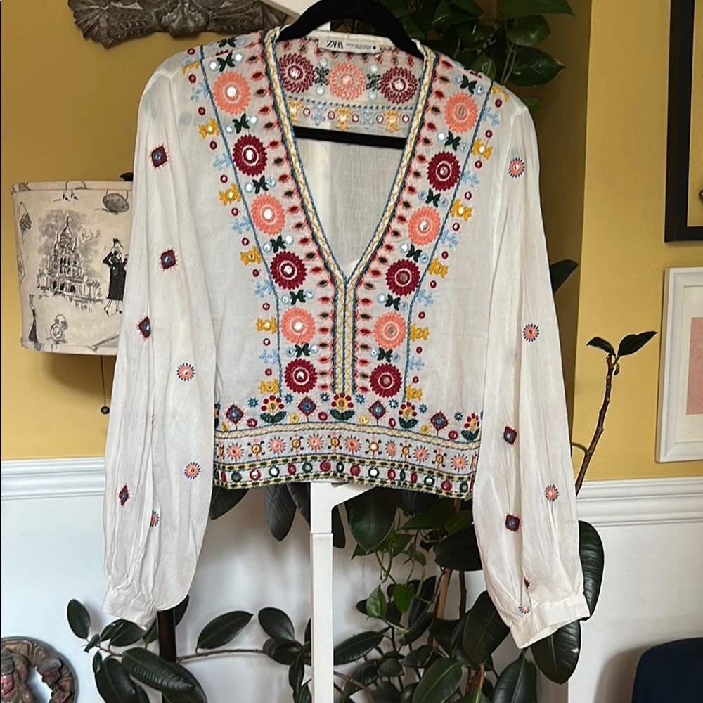 Zara Multicolor Embroidered Blouse